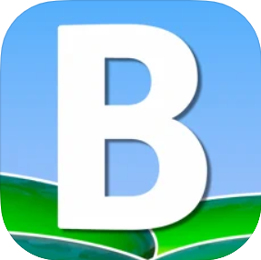 Brawddegau Iaith Gyntaf